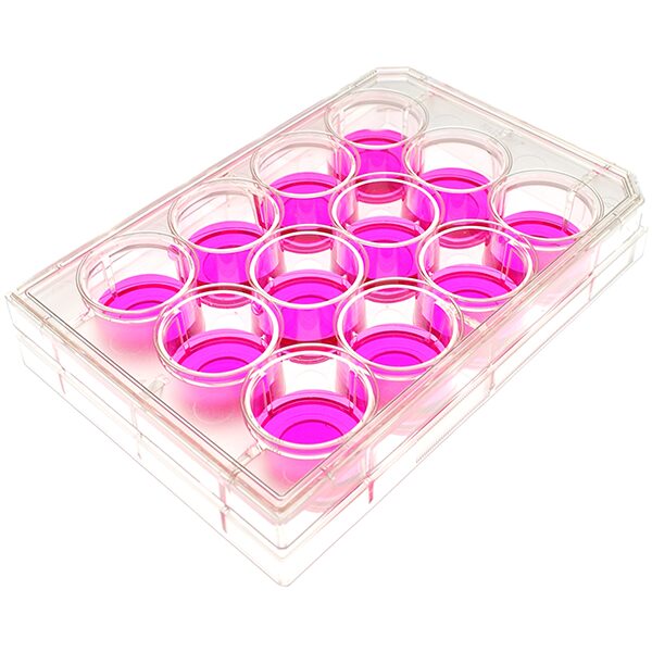 angle view of a 12 well multiwell cell culture plate