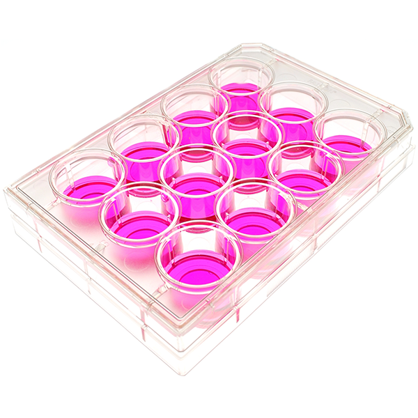 angle view of a 12 well multiwell cell culture plate