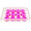 front view of a 12 well multiwell cell culture plate