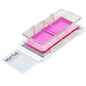 angle view of a 2 well cell culture chamberslide