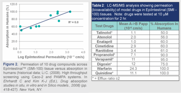 Graph and Table for Drug Delivery in EpiIntestinal human tissue model