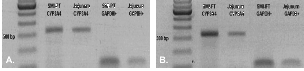 Drug Metabolism figures