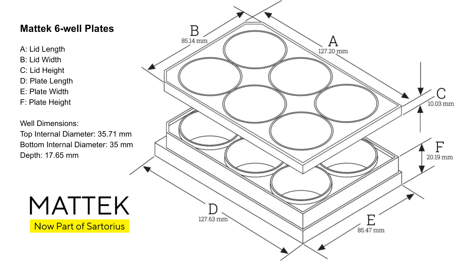 6-well | No. 0 Coverslip | 20 mm Glass Diameter | Uncoated - Image 4