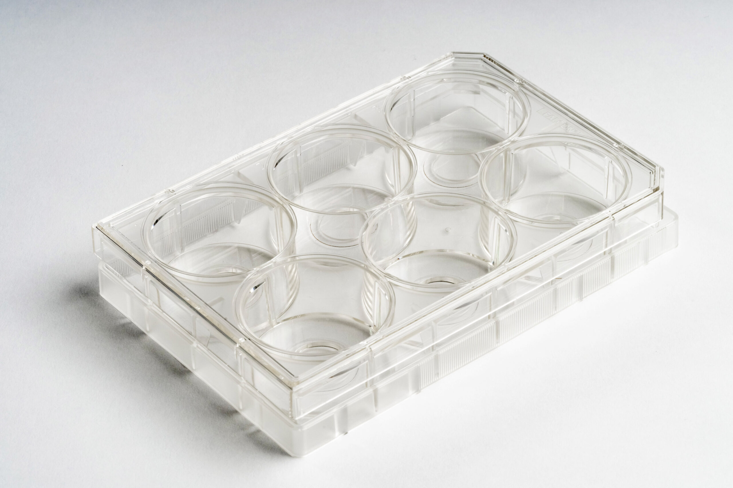 6-well | No. 0 Coverslip | 14 mm Glass Diameter | Uncoated - Image 3