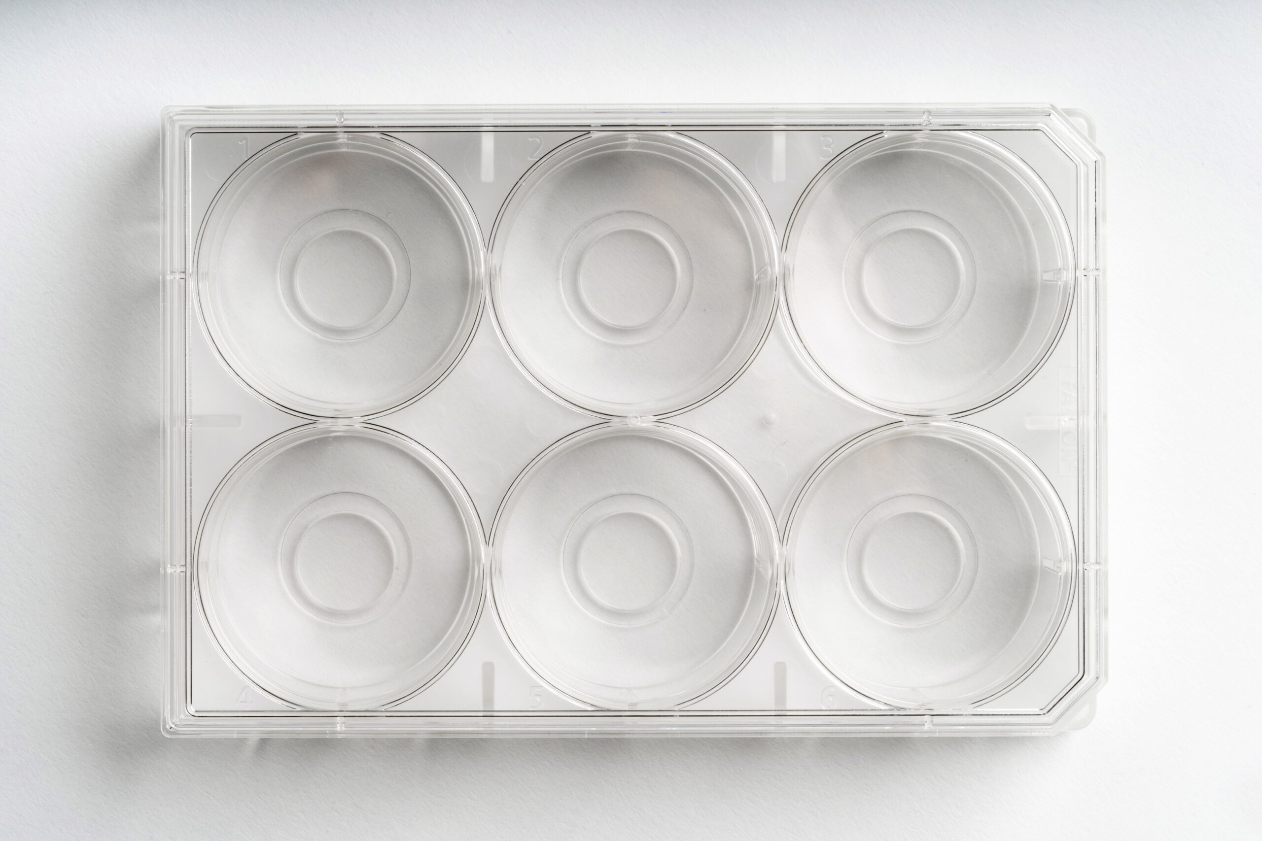 6-well | No. 0 Coverslip | 14 mm Glass Diameter | Uncoated