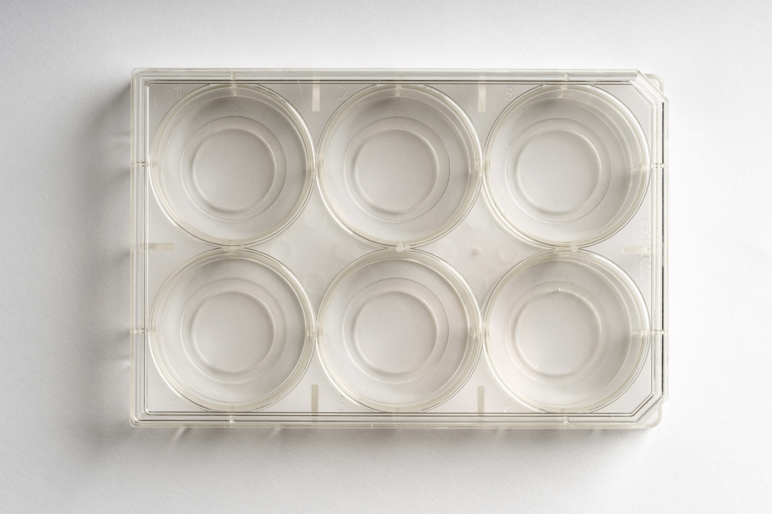 6-well | No. 0 Coverslip | 20 mm Glass Diameter | Uncoated