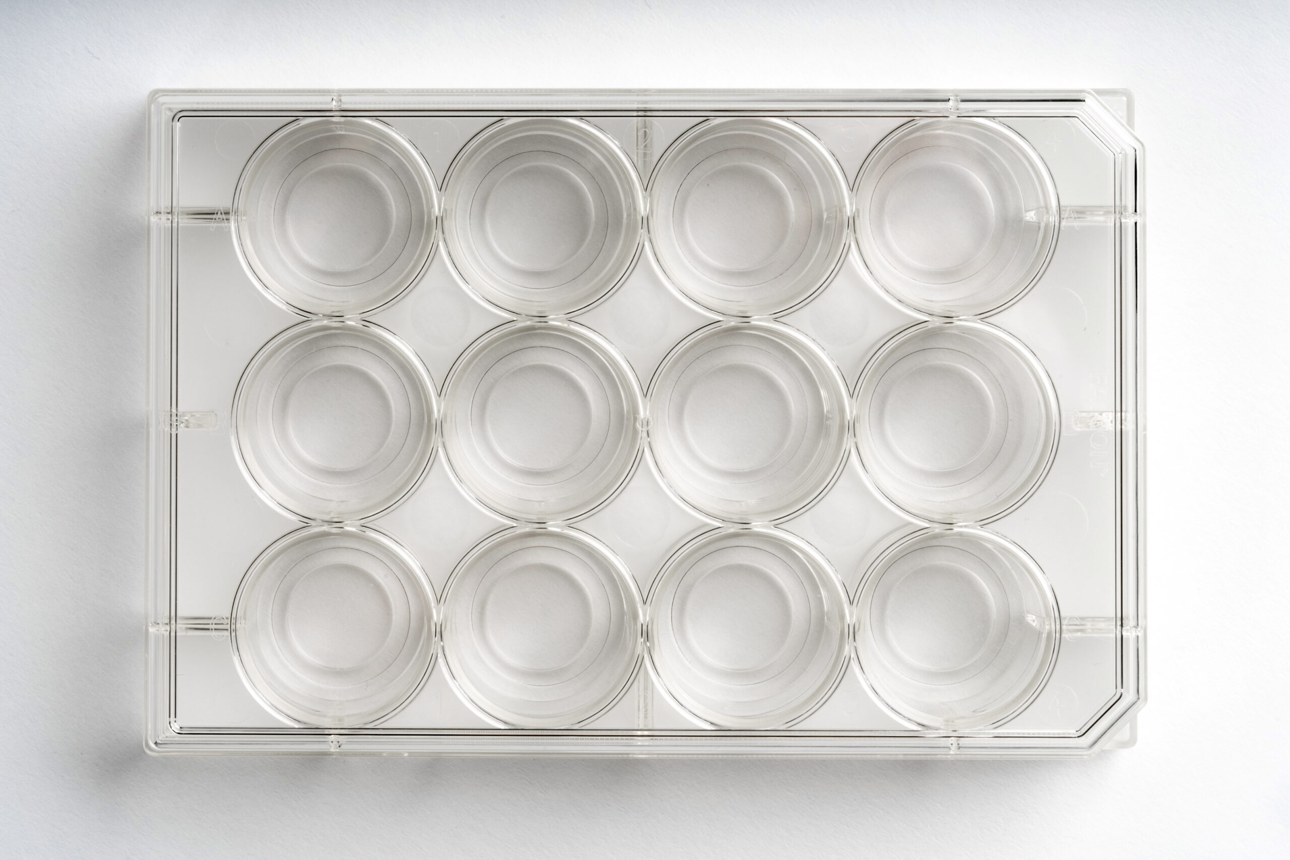 12-well | No. 1.5 Coverslip | 14 mm Glass Diameter | Uncoated