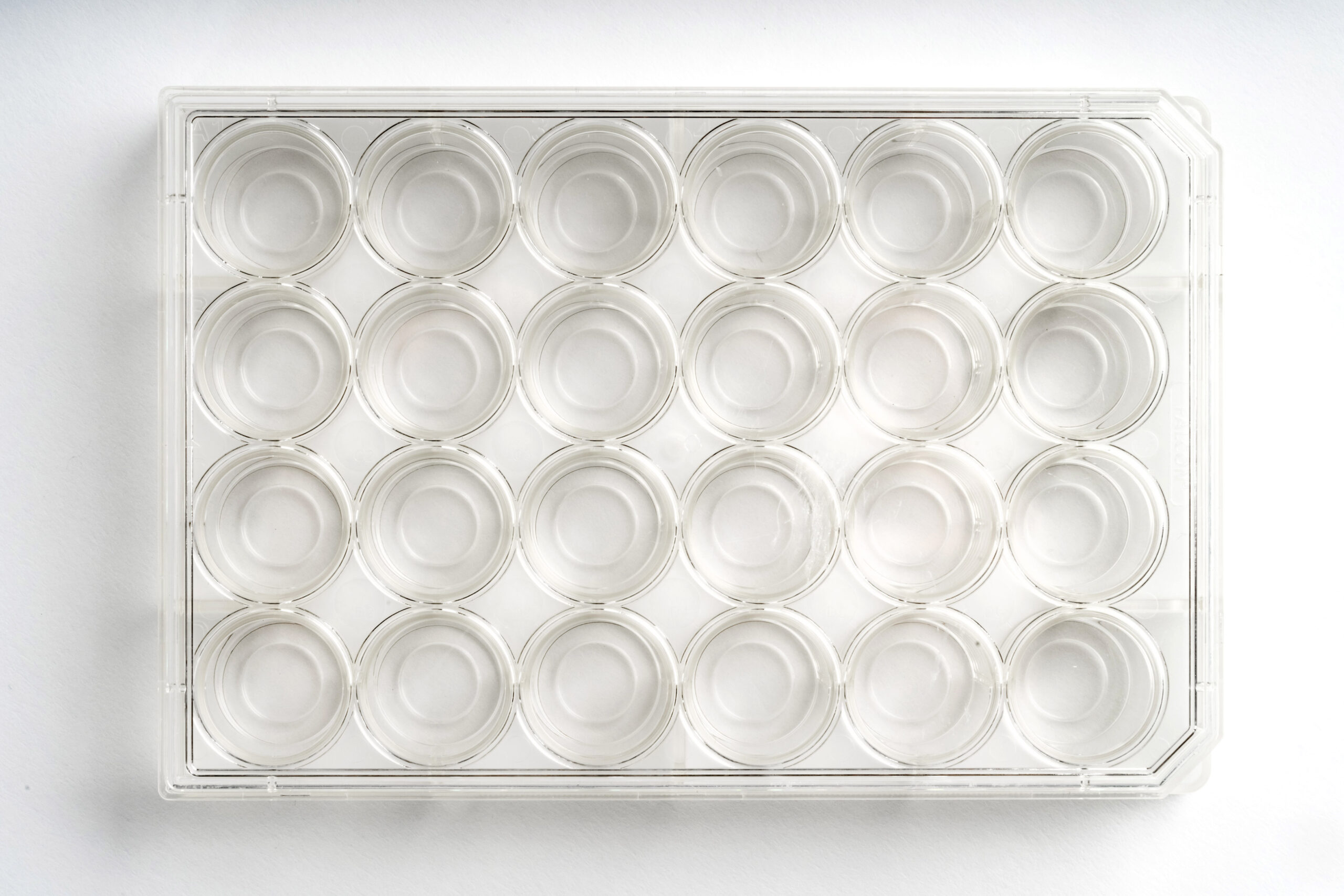 24-well | No. 1.5 Coverslip | 10 mm Glass Diameter | Uncoated