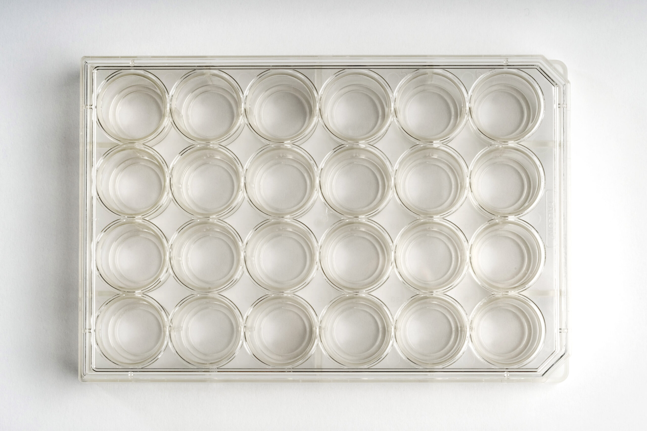 24-well | No. 1.0 Coverslip | 13 mm Glass Diameter | Uncoated