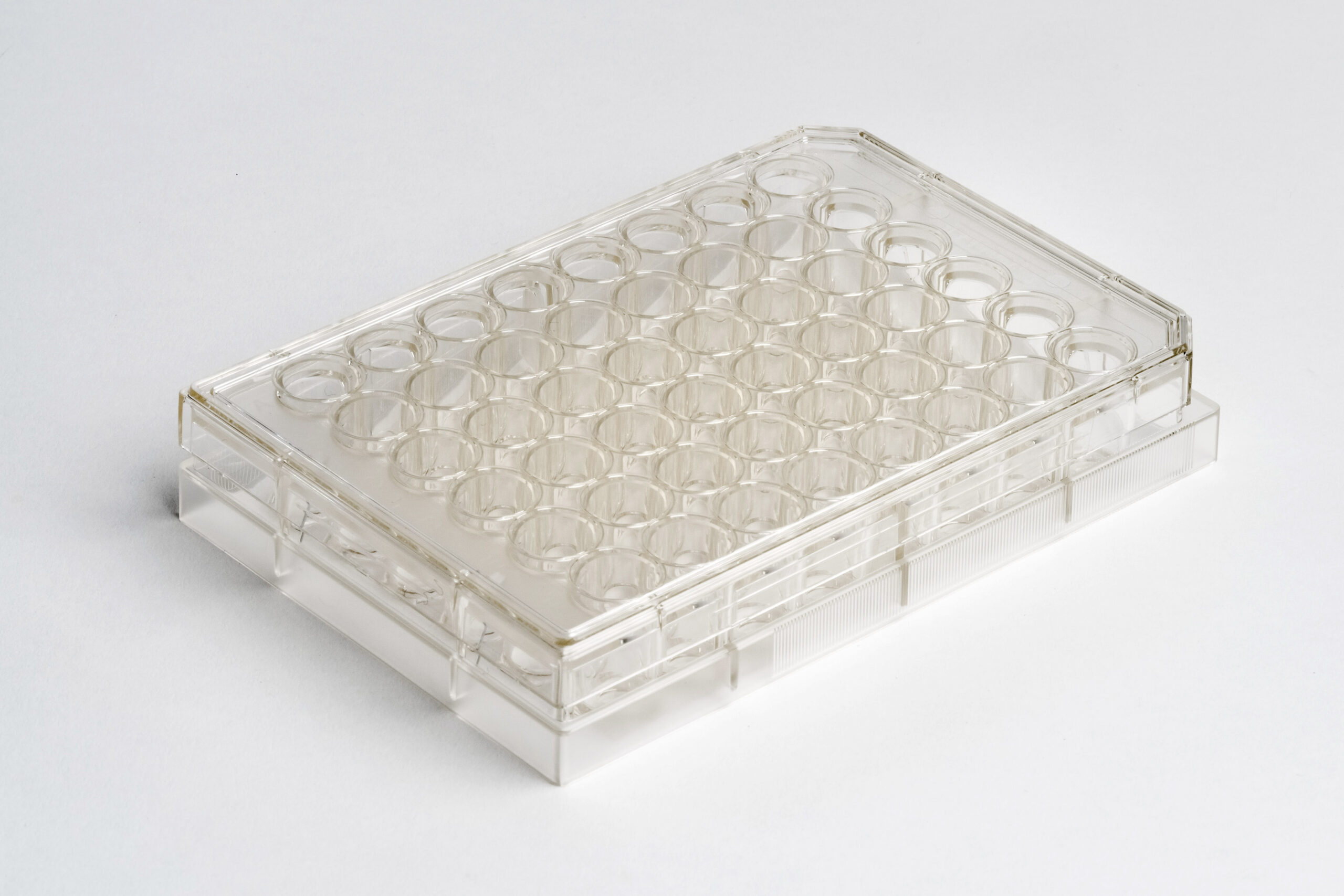 48-well | No. 1.5 Coverslip | 6 mm Glass Diameter | Uncoated - Image 3