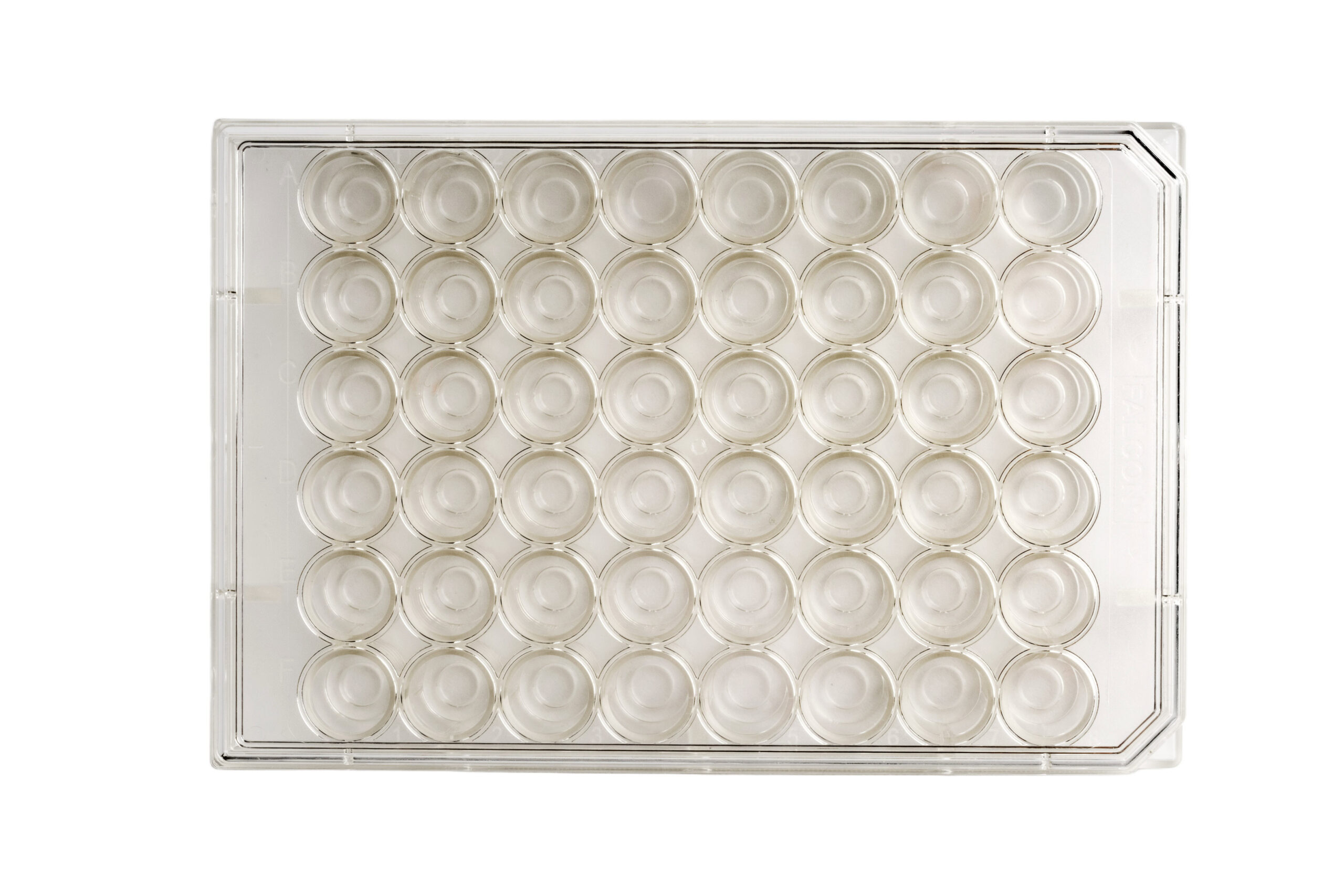 48-well | No. 1.5 Coverslip | 6 mm Glass Diameter | Uncoated