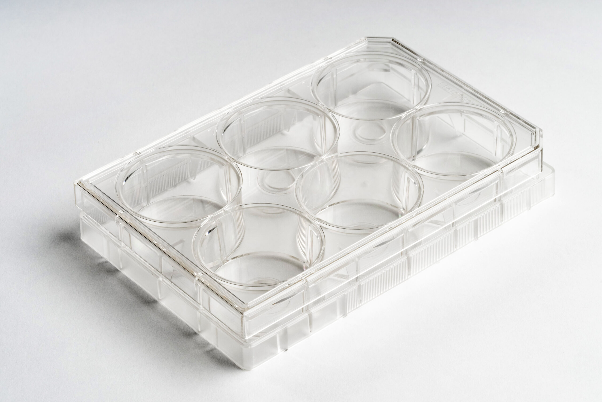 6-well | No. 0 Coverslip | 10 mm Glass Diameter | Uncoated - Image 3