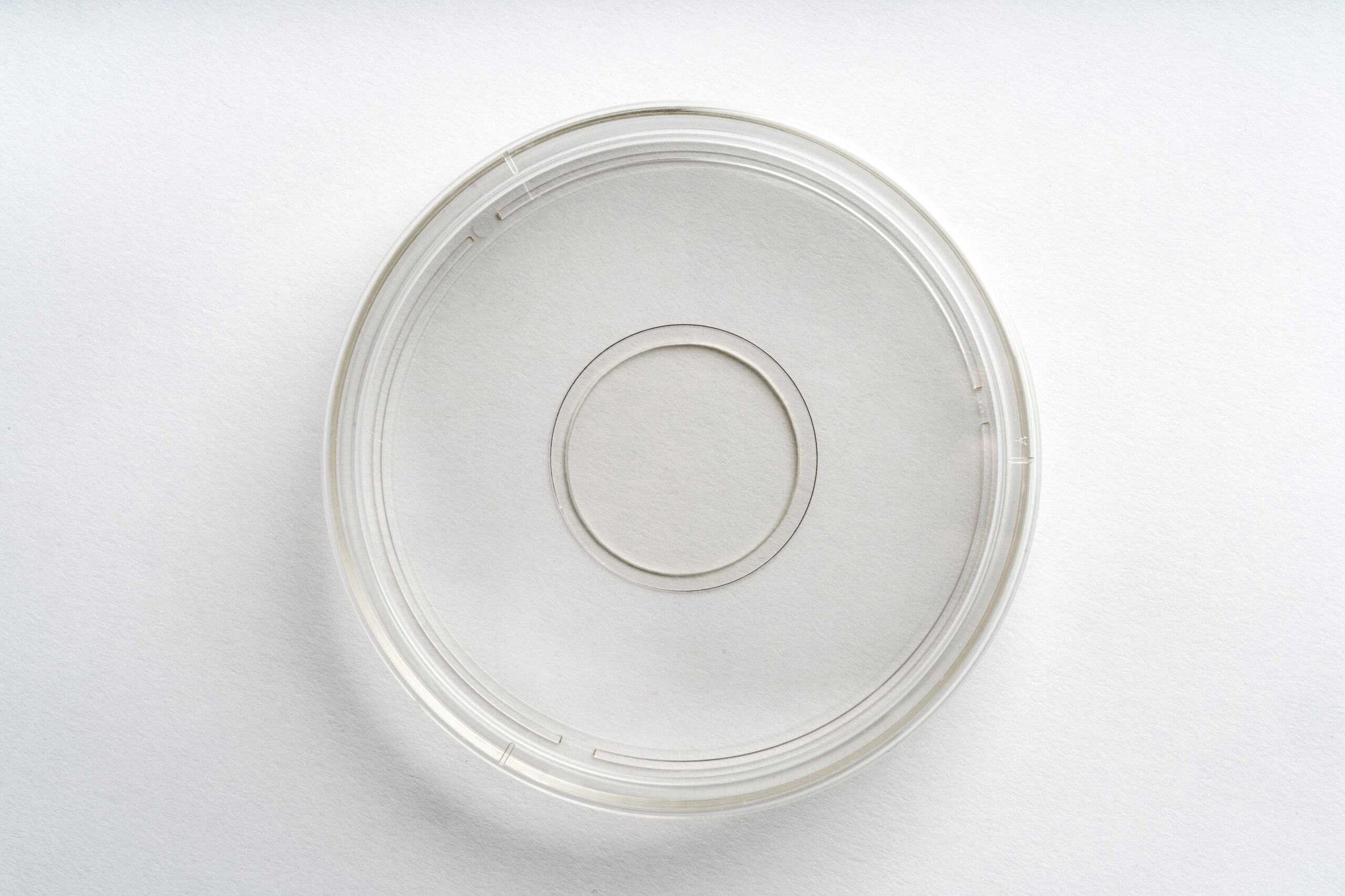 100 mm Dish | No. 1.5 Coverslip | 30 mm Glass Diameter - Image 4