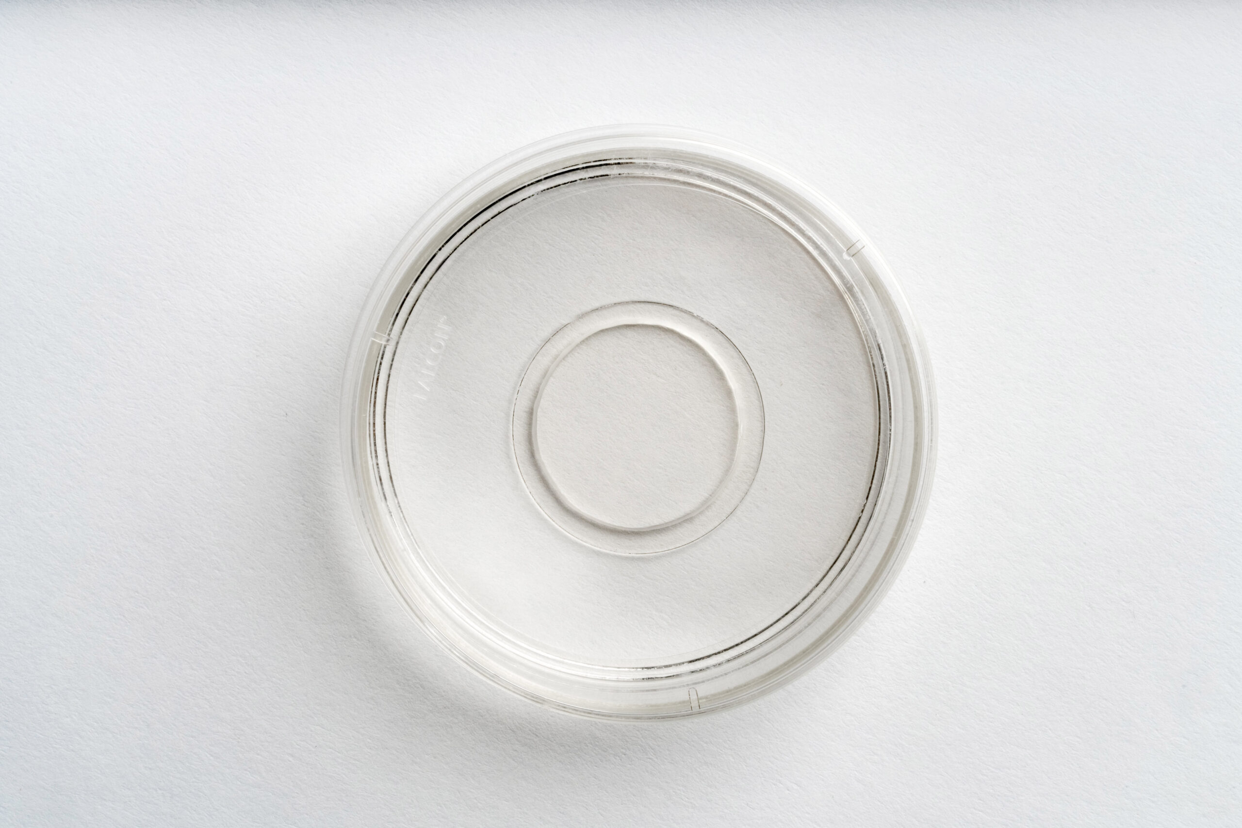 60 mm Dish | No. 1.5 Coverslip | 20 mm Glass Diameter - Image 2