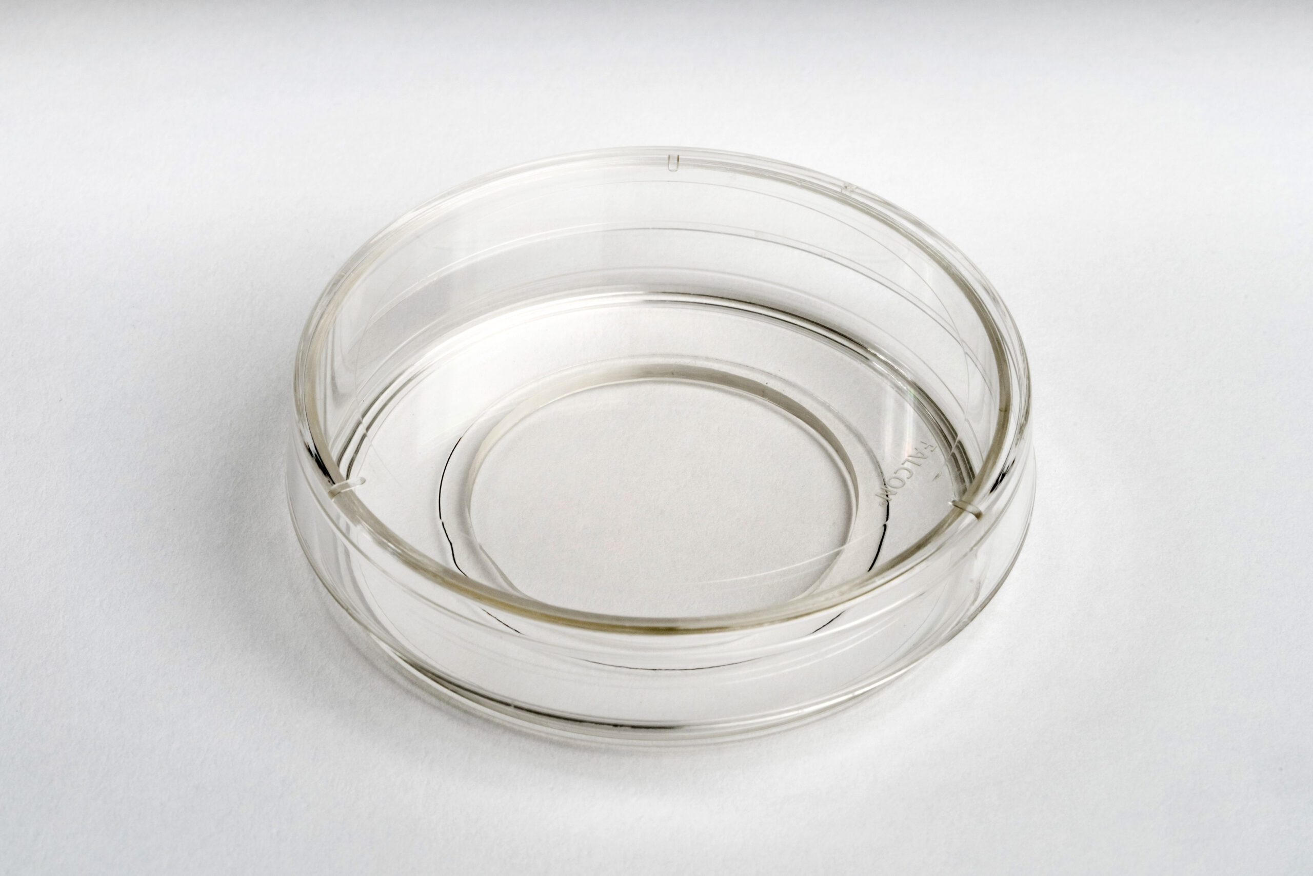 60 mm Dish | No. 1.5 Coverslip | 30 mm Glass Diameter