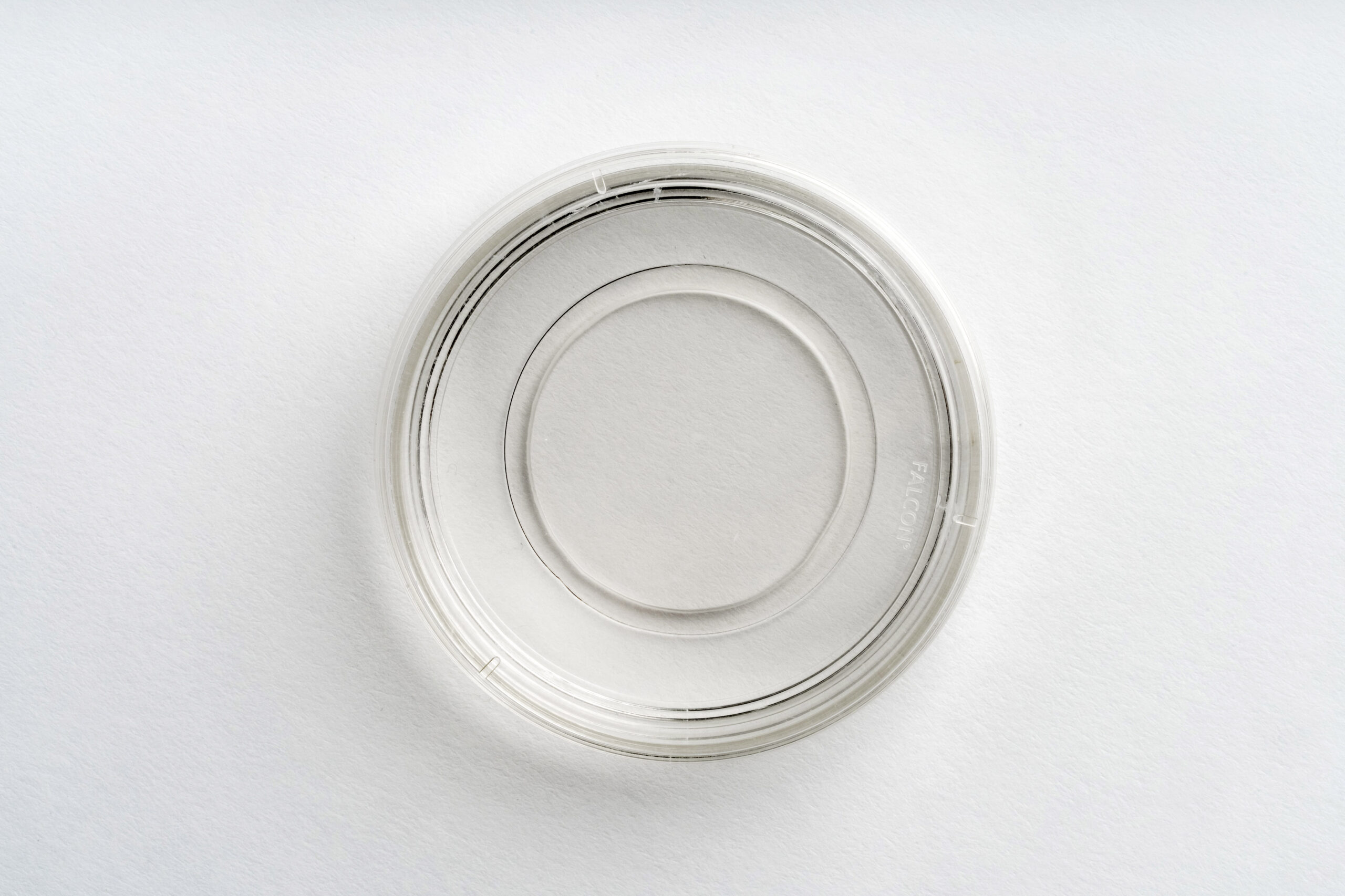 60 mm Dish | No. 1.5 Coverslip | 30 mm Glass Diameter - Image 2