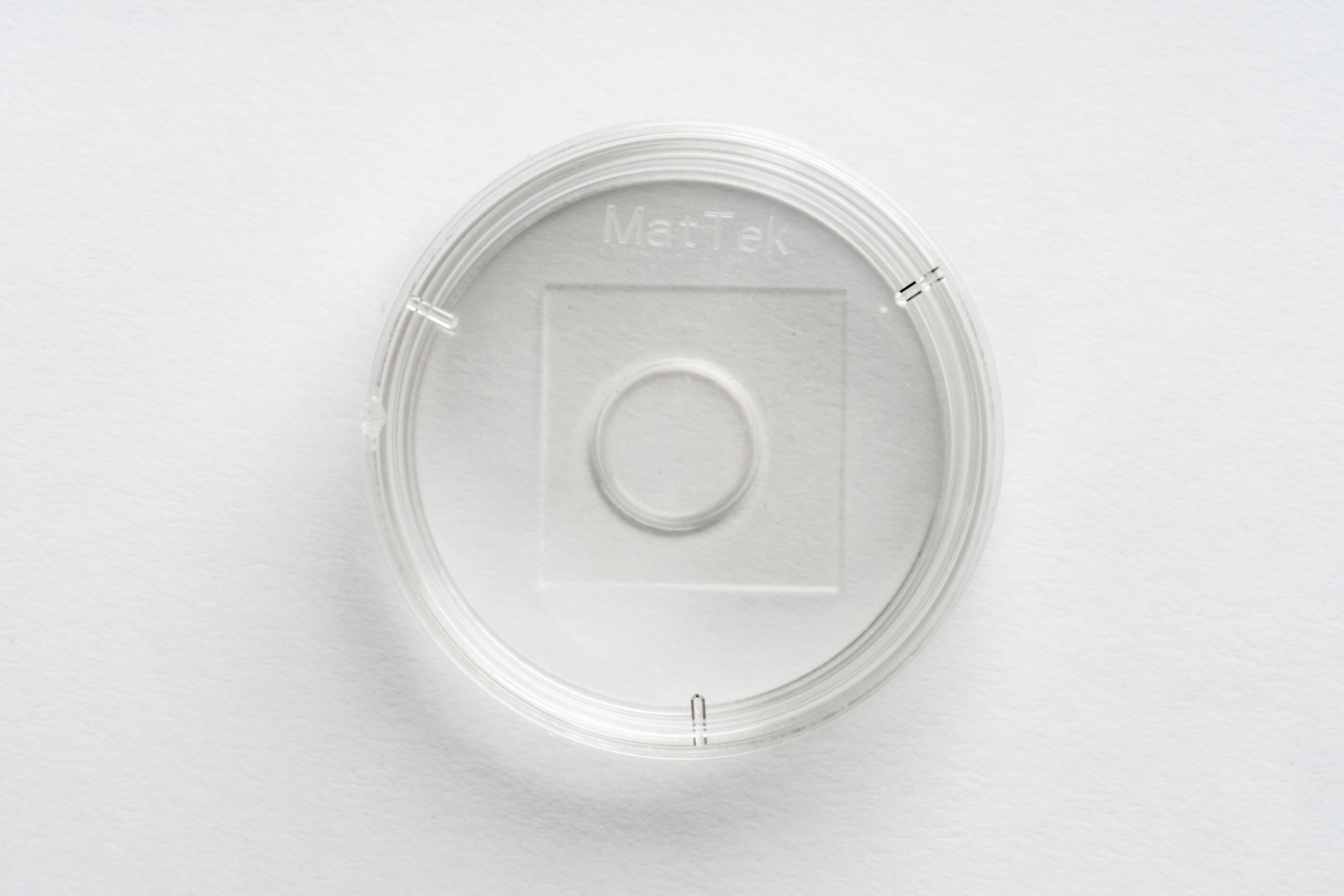 High Adherence | 35 mm Dish | No. 1.5 Coverslip | 10 mm Glass Diameter - Image 3