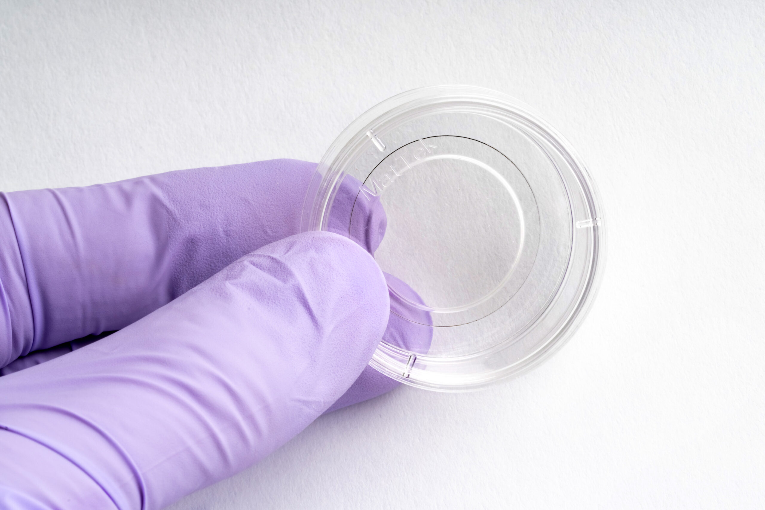 35 mm Dish | No. 1.5 Coverslip | 20 mm Glass Diameter | Uncoated - Image 2