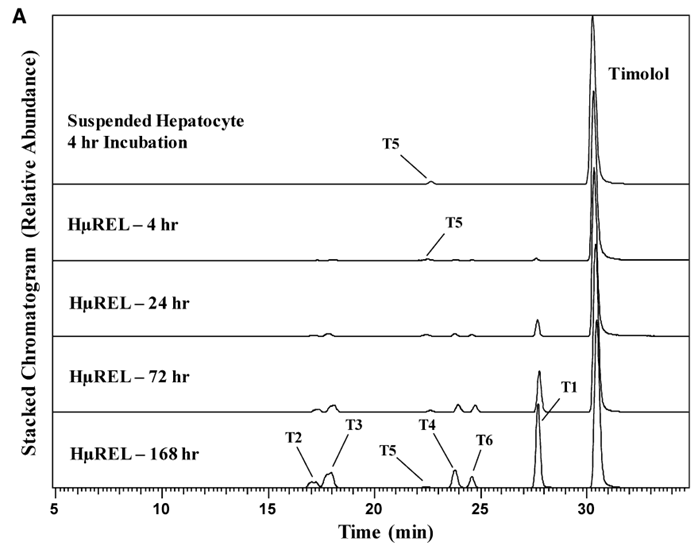 Chromatograms showing the metabolite profile of timolol in human suspended hepatocytes (4 hours) and the HURELhumanPool™ Micro Liver Model (Co-culture of primary hepatocytes/stromal cells). 
