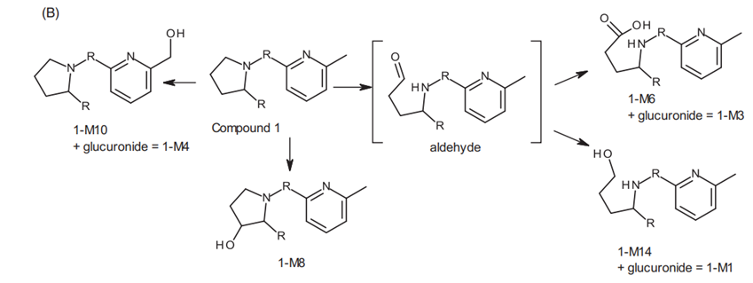 (A) Chromatograms of compound 1 (Eli Lilly) in urine (0-24 hr), feces (24-72 hr), human suspended hepatocytes (4 hours), and the HURELhumanPool™ Micro Liver Model (Co-culture of primary hepatocytes/stromal cells). 