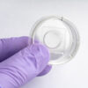 35 mm Dish | No. 1.5 Coverslip | 14 mm Glass Diameter | Uncoated - Image 3