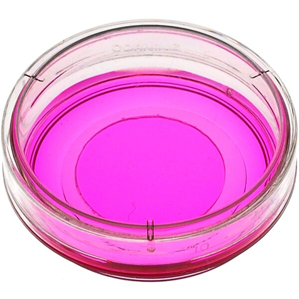 35 mm Dish | No. 1.0 Coverslip | 14 mm Glass Diameter | Collagen Coated