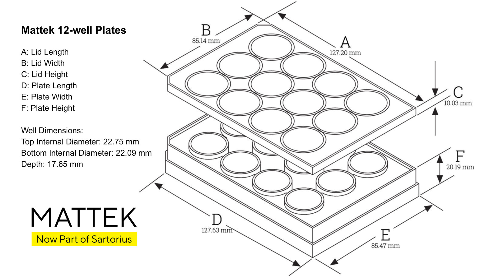 12-well | No. 1.0 Coverslip | 10 mm Glass Diameter | Uncoated - Image 4