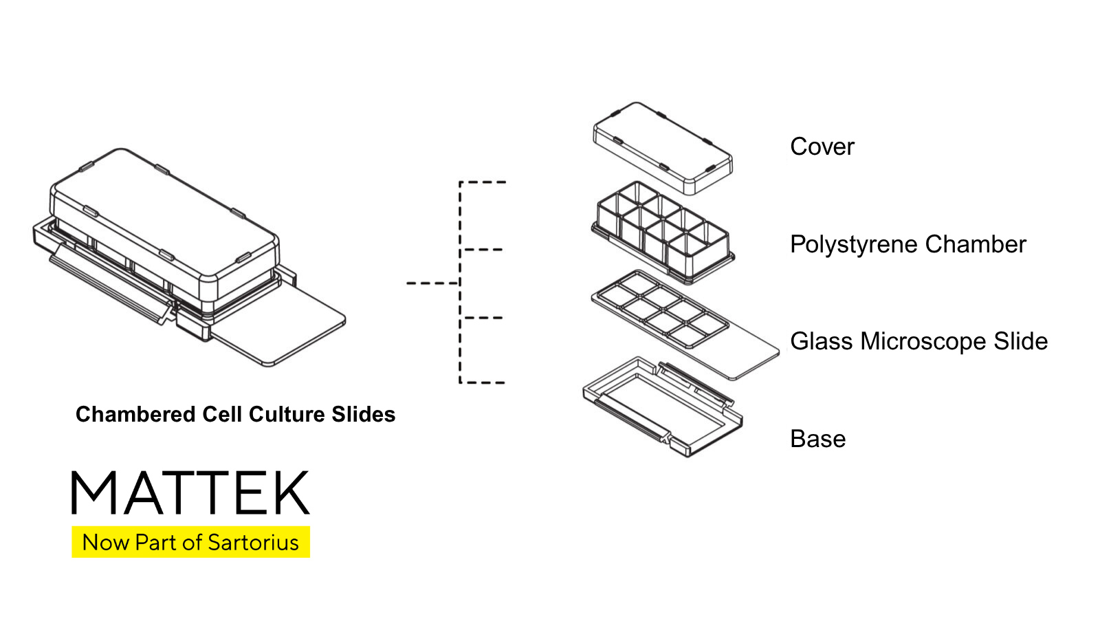 2-well Cell Culture Slides - Image 4