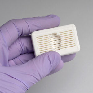 Mouse Brain Slicer