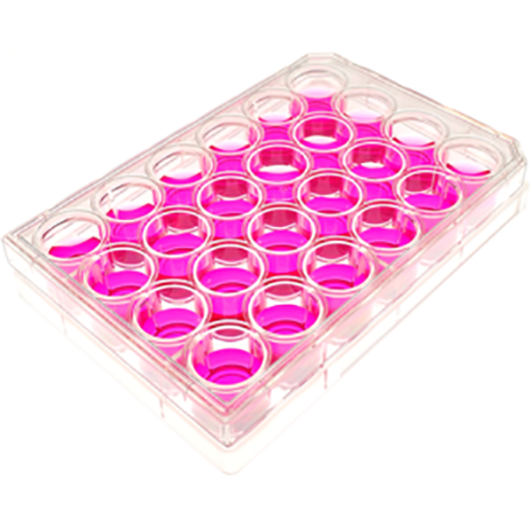 Multiwell Plate Cover | No. 1.5 Coverslip