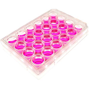 angle view of a 24 well multiwell cell culture plate