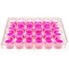 front view of a 24 well multiwell cell culture plate