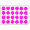 top view of a 24 well multiwell cell culture plate