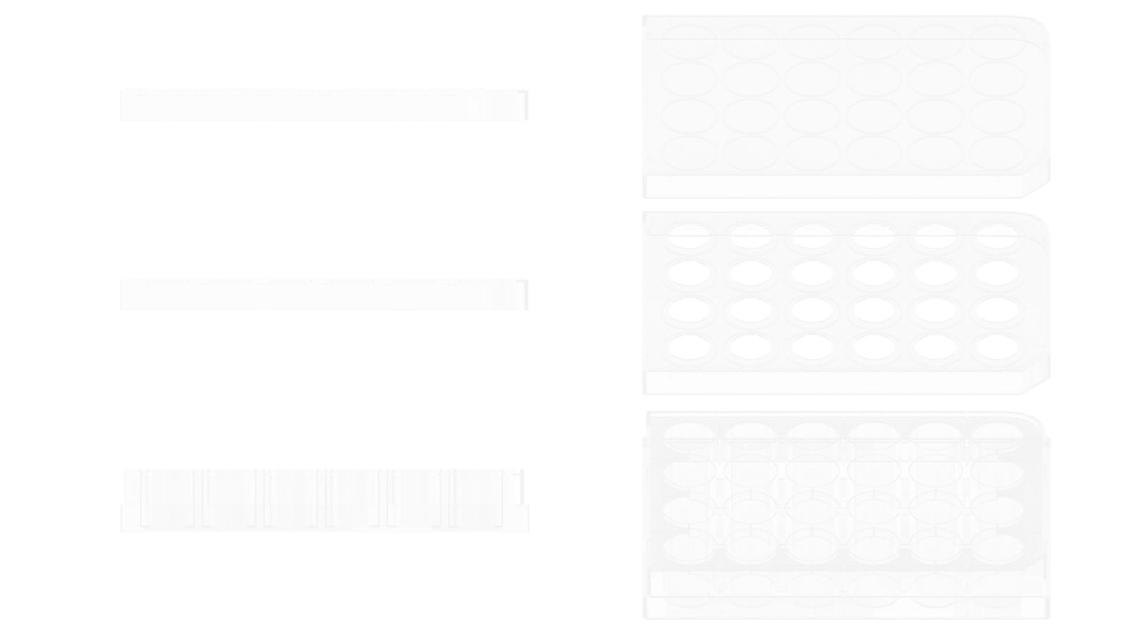 PermaCell Hang Top 24-Well Plates • MatTek Life Sciences