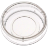 empty 35 mm glass bottom cell culture dish