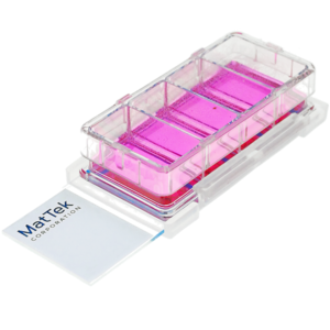 angle view of a 4 well cell culture chamberslide