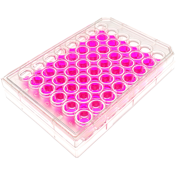 angle view of a 48 well multiwell cell culture plate