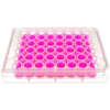 front view of a 48 well multiwell cell culture plate