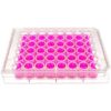 front view of a 48 well multiwell cell culture plate