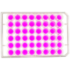 top view of a 48 well multiwell cell culture plate