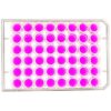 top view of a 48 well multiwell cell culture plate