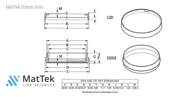 50 mm Dish | No. 1.5 Coverslip | 30 mm Glass Diameter