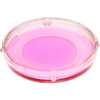 50 mm Dish | No. 1.5 Coverslip | 14 mm Glass Diameter | Uncoated