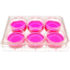 front view of a 6 well multiwell cell culture plate