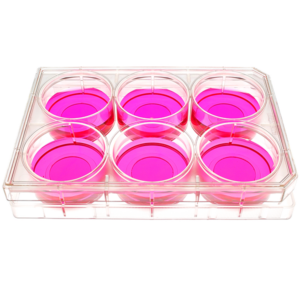 front view of a 6 well multiwell cell culture plate