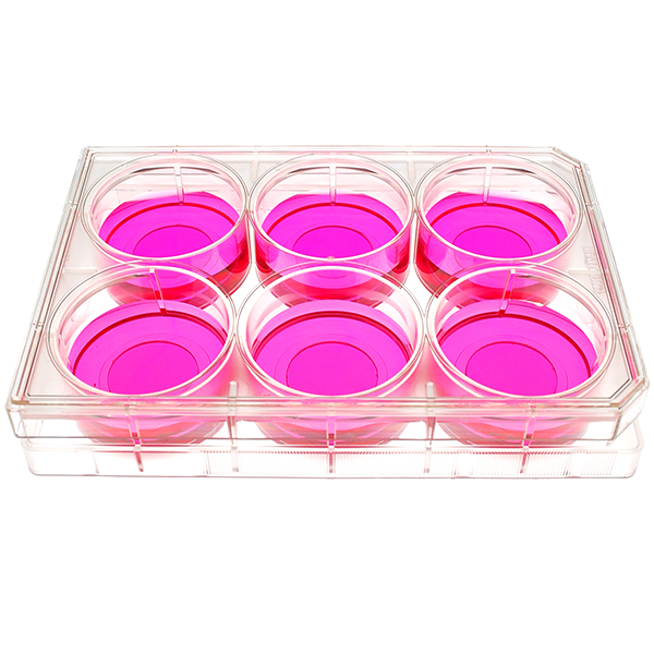 front view of a 6 well multiwell cell culture plate