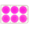 top view of a 6 well multiwell cell culture plate