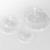 60 mm Dish | No. 1.5 Coverslip | 20 mm Glass Diameter