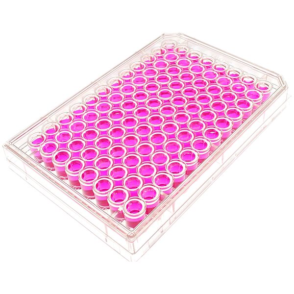 angle view of a 96 well multiwell cell culture plate