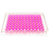 front view of a 96 well multiwell cell culture plate